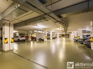 Pronájem bytu 1+kk, Praha - Žižkov, Pitterova, 38 m2