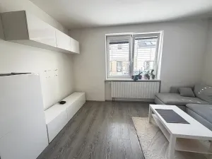 Pronájem bytu 1+1, Brno - Královo Pole, Hrubého, 42 m2