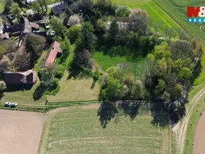 Prodej zemědělské usedlosti, Bečváry - Horní Jelčany, 90 m2