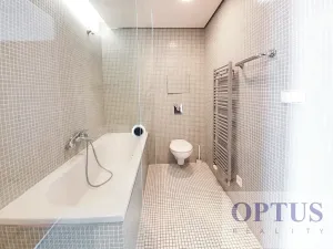 Pronájem bytu 2+kk, Praha - Vinohrady, Korunní, 76 m2