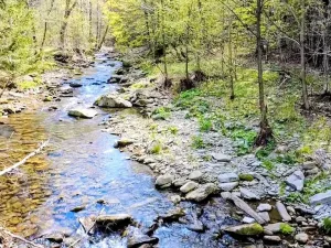 Prodej rodinného domu, Krásná, 200 m2