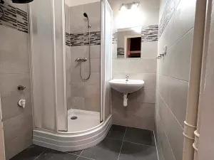 Pronájem bytu 2+1, Brno, Pekařská, 78 m2