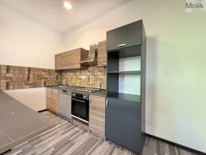 Pronájem bytu 3+kk, Lom, Osecká, 84 m2