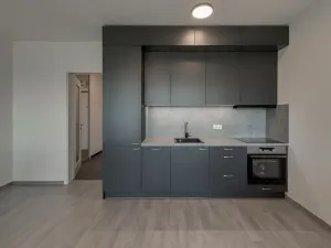 Pronájem bytu 1+kk, Praha - Žižkov, Olgy Havlové, 35 m2