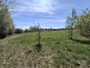 Prodej komerčního pozemku, Dalovice, 18373 m2