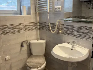 Pronájem bytu 1+1, Opava - Předměstí, Bezručovo náměstí, 30 m2