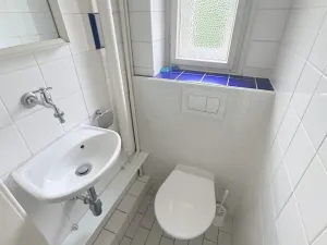 Pronájem vily, Praha - Břevnov, 8. listopadu, 280 m2