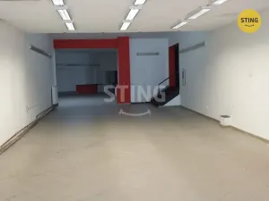 Pronájem obchodního prostoru, Opava, Lepařova, 400 m2
