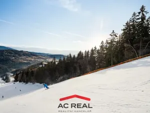 Prodej bytu 4+kk, Vrchlabí - Hořejší Vrchlabí, Horská, 87 m2