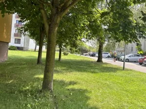 Prodej bytu 1+1, Lázně Bohdaneč, Na Lužci, 45 m2