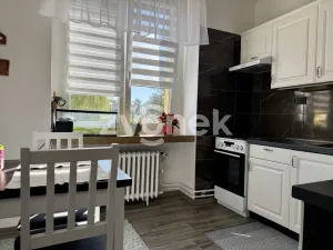 Pronájem bytu 1+1, Otrokovice, Mánesova, 35 m2