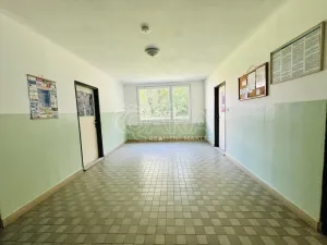 Prodej bytu 3+1, Písek - Budějovické Předměstí, třída Přátelství, 68 m2