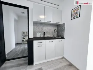 Pronájem bytu 1+kk, Lužná, Nová, 22 m2