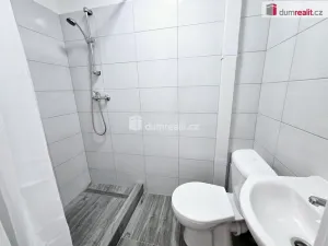 Pronájem bytu 1+kk, Lužná, Nová, 22 m2