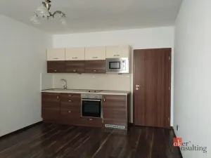 Pronájem bytu 1+kk, Plzeň - Východní Předměstí, Božkovská, 34 m2