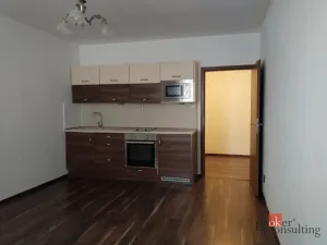 Pronájem bytu 1+kk, Plzeň - Východní Předměstí, Božkovská, 34 m2