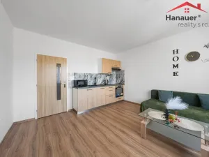 Prodej bytu 2+kk, Děčín - Děčín XXXII-Boletice nad Labem, Čsl. partyzánů, 42 m2