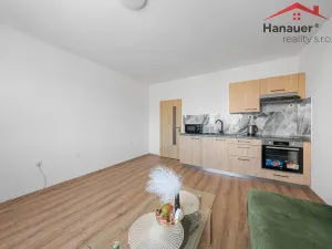 Prodej bytu 2+kk, Děčín - Děčín XXXII-Boletice nad Labem, Čsl. partyzánů, 42 m2