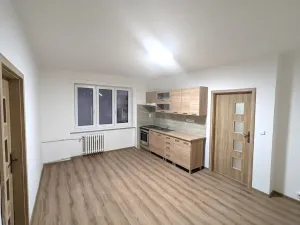 Pronájem bytu 2+kk, Ústí nad Labem - Neštěmice, Mlýnská, 55 m2