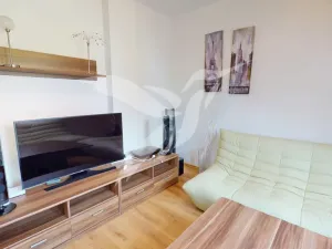 Pronájem bytu 3+1, Plzeň, Ruská, 150 m2