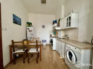 Pronájem bytu 1+1, Brno, Úvoz, 45 m2