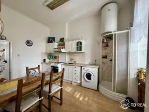 Pronájem bytu 1+1, Brno, Úvoz, 45 m2