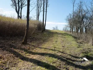 Prodej pozemku pro bydlení, Kopidlno, Na Vinici, 8371 m2