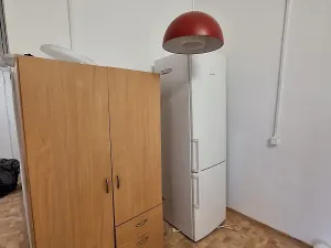Pronájem pokoje, Praha - Vinohrady, Písecká, 20 m2