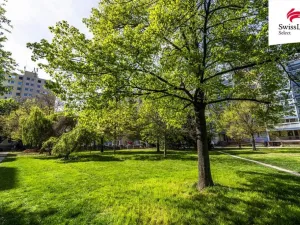 Prodej bytu 2+kk, Praha - Chodov, Samohelova, 43 m2