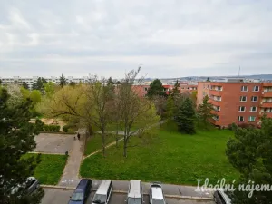 Pronájem bytu 1+1, Brno, Fillova, 37 m2