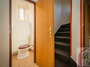 Prodej rodinného domu, Dobrovice, 219 m2