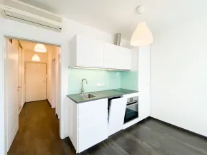 Pronájem bytu 1+kk, Praha - Žižkov, Bořivojova, 35 m2