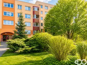 Prodej bytu 2+1, Havířov, Mládí, 43 m2