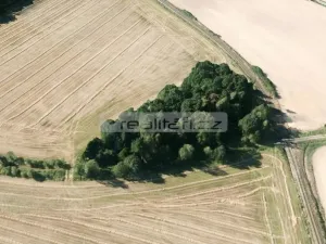 Prodej pole, Kornatice, Kornatice, 16816 m2