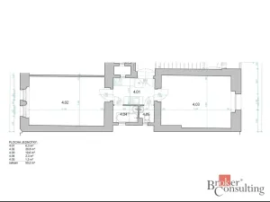 Prodej bytu 2+kk, Praha - Žižkov, Hartigova, 47 m2