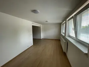 Pronájem bytu 1+kk, Troskotovice, 47 m2