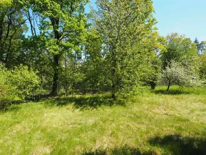 Prodej chaty, Pozořice, Oulehla, 27 m2