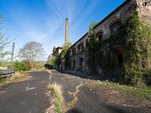 Prodej komerční nemovitosti, Povrly - Neštědice, Pod Kozákem, 35000 m2