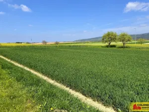 Prodej pozemku pro bydlení, Fryšták, 3940 m2