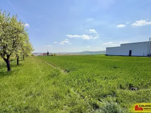 Prodej pozemku pro bydlení, Fryšták, 3940 m2
