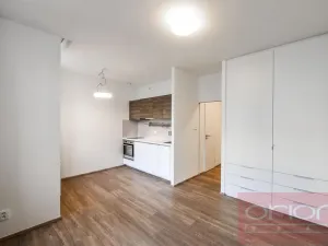 Pronájem bytu 1+kk, Praha - Vinohrady, Lucemburská, 300 m2