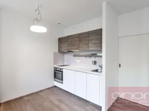 Pronájem bytu 1+kk, Praha - Vinohrady, Lucemburská, 300 m2