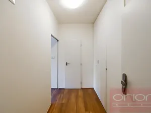Pronájem bytu 1+kk, Praha - Vinohrady, Lucemburská, 300 m2