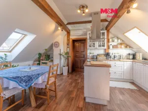 Prodej rodinného domu, Suchdol, 390 m2