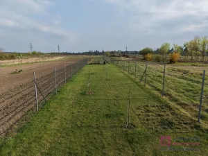 Prodej zahrady, Valtice, Zámek, 619 m2
