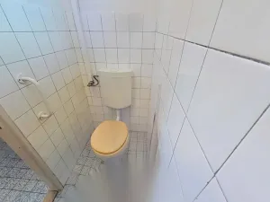 Pronájem rodinného domu, Náměšť nad Oslavou, Zámek, 207 m2