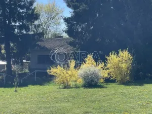 Prodej chaty, Chotýšany, 39 m2