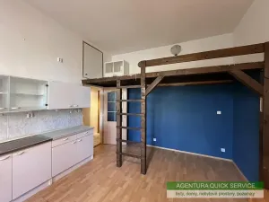 Pronájem bytu 1+kk, Praha - Žižkov, Kubelíkova, 29 m2