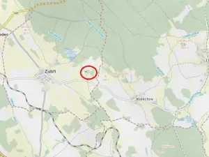 Prodej lesa, Zubří, 843 m2