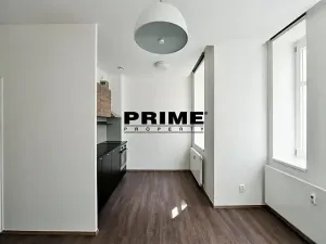 Pronájem bytu 1+kk, Praha - Vinohrady, Lucemburská, 30 m2